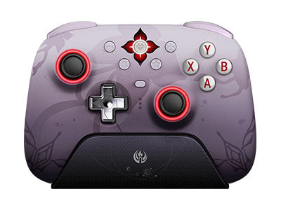8BitDo 2.4G controller